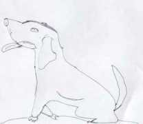 difossombrone.it Manikuttan