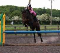 bathleyhillfarmlivery.com Maraday