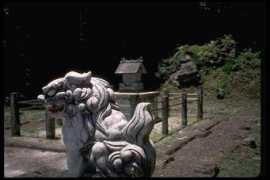 darkwing.uoregon.edu Maradel