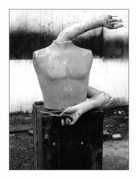 nuveforum.net Marbelo