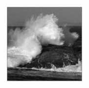 israblog.nana10.co.il Marbelo