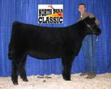 showsteers.com Marcath