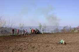 sargacal.com Marcelim