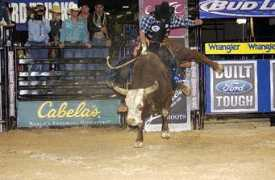 michaelgaffney.com Marchion