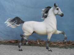 Marengo