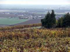 Mareuil
