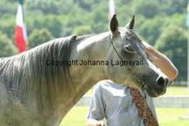 johannalagnevall.com Margant