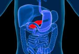 radiolog-margaretic.hr Margaretic