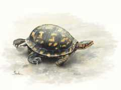 stationgallery.net Margaretta