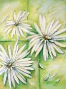 Marguerites