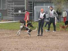 team-snowhow.com Mariasu