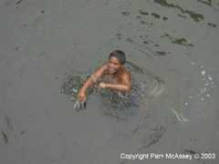 Mariboy