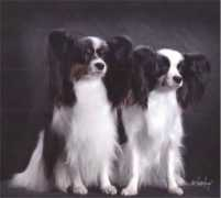 marichin.com Marichin