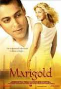 Marigold