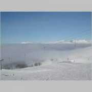 marikari.net Marikari