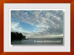 alofotos.com Marisma