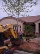 home-landscape-plan.com Marjene