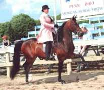 cyanstarmorgans.com Markessa