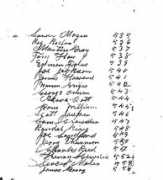 trackingyourroots.com Markirt