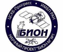 spacedaily.com Marlaire