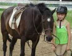 cedarknollfarm.net Marnem