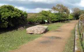 themodernantiquarian.com Marthes