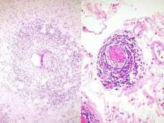 seapcongresos.com Martinezp