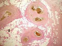 seapcongresos.com Martinezp