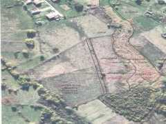 moglasi.com Martinici