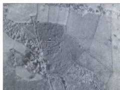 moglasi.com Martinici