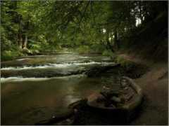panoramio.com Martyniak