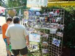 ycvp.webz.cz Marusika