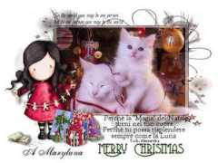 alegrafica.net Maryluna