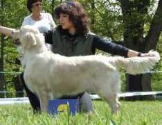 retriver.cz Masantos