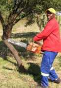 Maseka