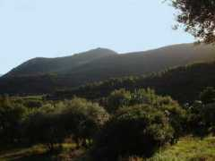 panoramio.com Massico