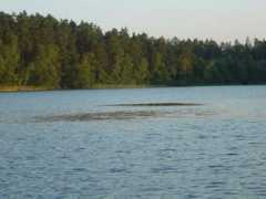 Masuria