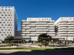 designcurial.com Matassoni