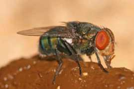 nyartbeat.com Matherly