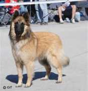 dufinmatois.com Matois