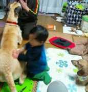 p.twipple.jp Mattari