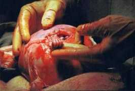 racionalismo-cristao.org.br Maturos