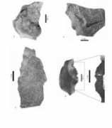 paleo.revues.org Mauran