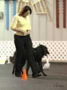 montagetervs.com Mavey