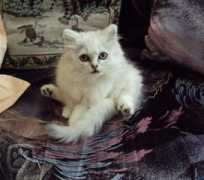 miciny.cz Maxmiliana