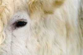 sundaphotography.com Maydra