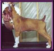 nastinan.com Maywalt