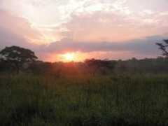 panoramio.com Mburo