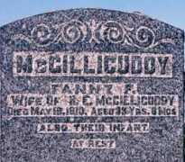 Mcgillicuddy