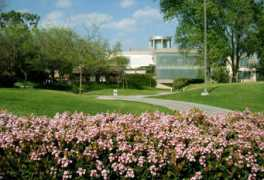 matthewweathers.com Mcnally